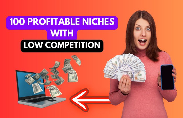 Profitable Niches with Low Competition